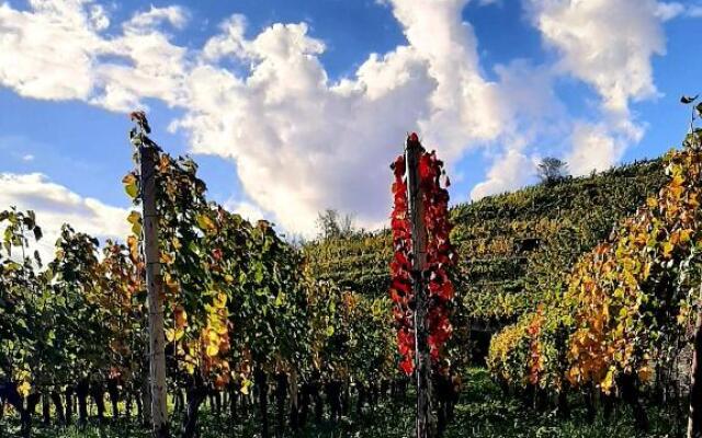 Ferienwohnung "Am Blauwasser" Mit Infrarotkabine (Adults Only)