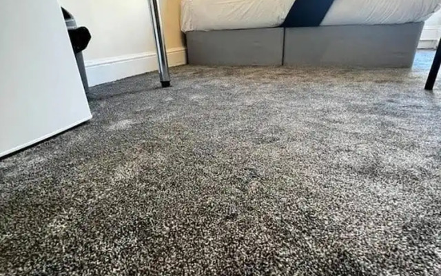 London Oasis Retreat - Apt 1