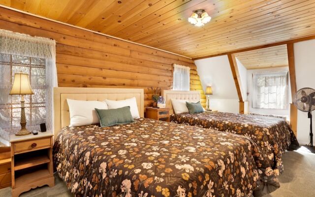 BIG Bear Haven #2343