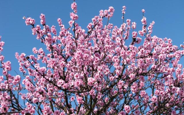 Wellness-Ferienhof am Rebgarten