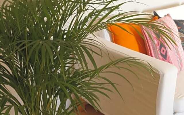 Les terrasses de Templeuve