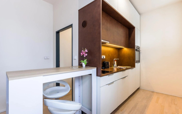 Modern apartments Brno-center