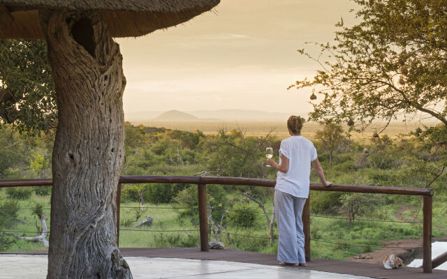 Royal Madikwe Game Lodge