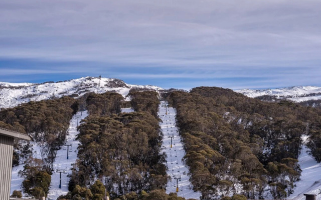 Nanook Thredbo Squatters Run