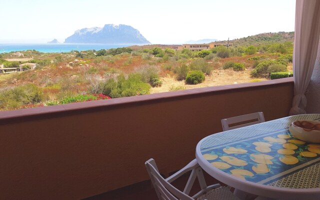 Apartment With one Bedroom in Olbia, With Wonderful sea View and Enclo