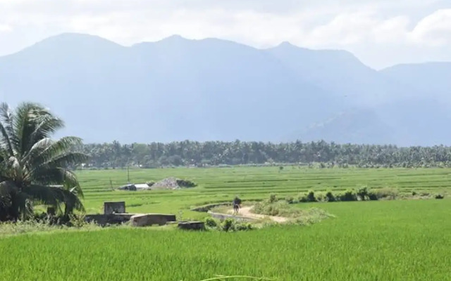 Room in Lodge - Room in Royal Cottage, Anaimalai
