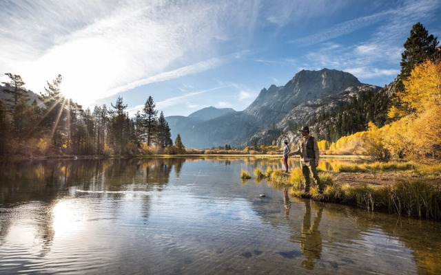 Summit #243 1 Bedroom Condo