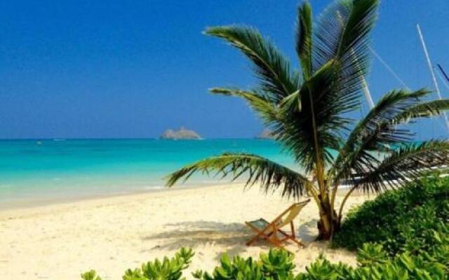 Brand New Kailua Beach