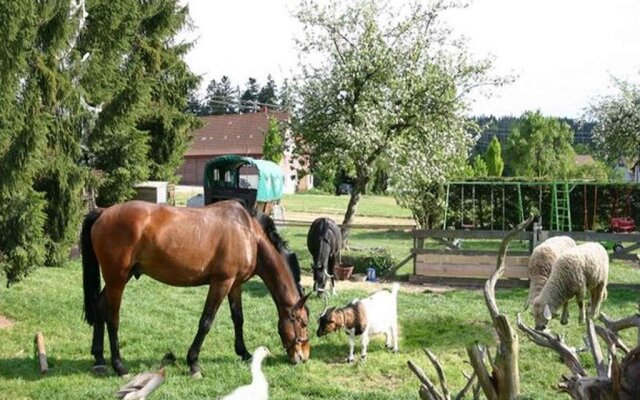 Ferienhof Hirschfeld