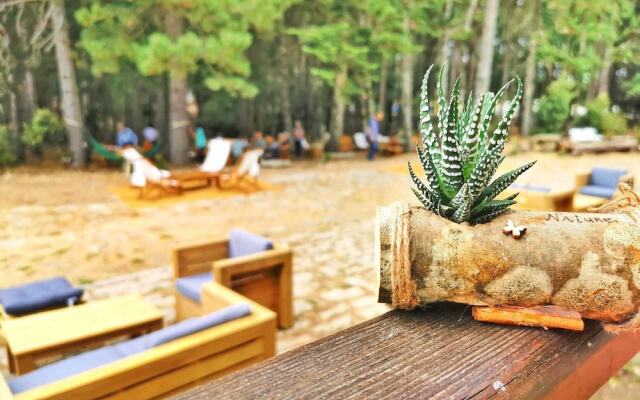 Vallicciola Monte Limbara Nature Hotel