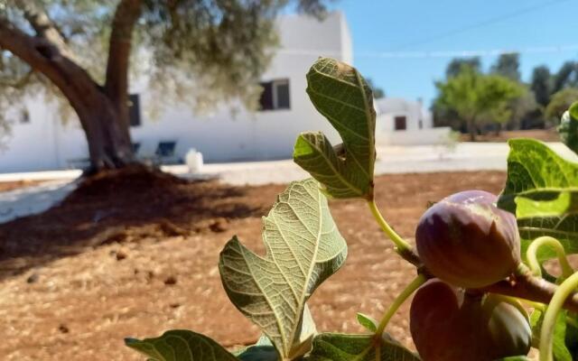 Trullo Il Noce..Holiday home