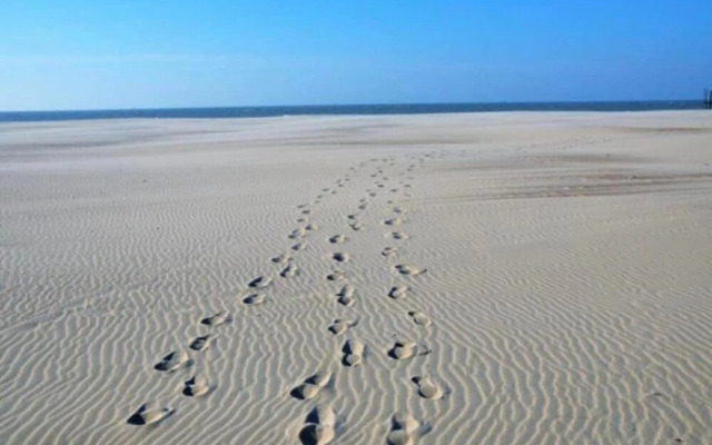 Studio in Nieuwpoort Near the Beach