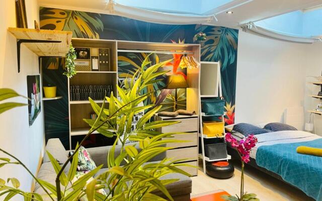 Jungle Studio - 2P à 4P -Henriville