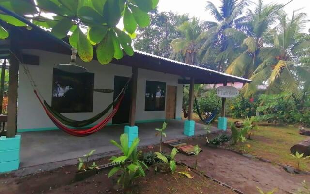 Casa Turtle Bogue - Hostel