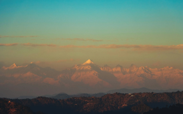 The Himalayan Living Whistling Pines