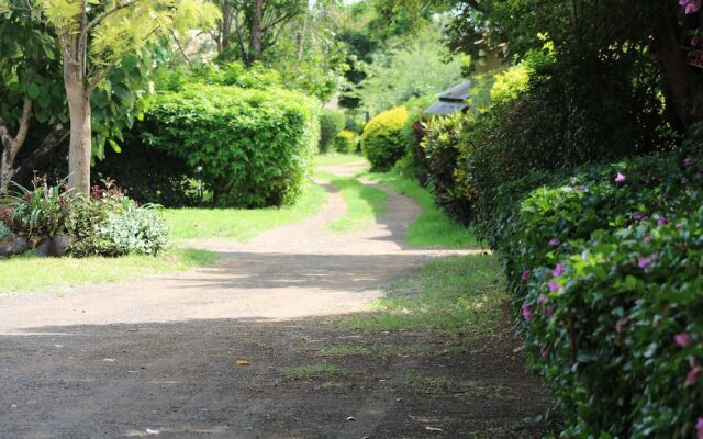 Meserani Oasis Lodge & Campsite