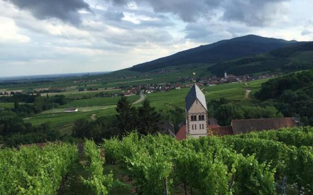 Gîte FLEUR DE VIGNES