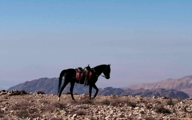 Petra Desert Dream Hotel