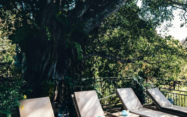 Seagull Cove Resort