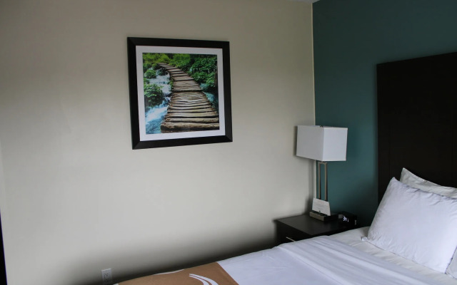 Quality Inn Mount Pleasant