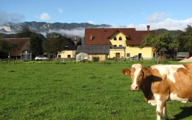 Farm Holidays Povsin