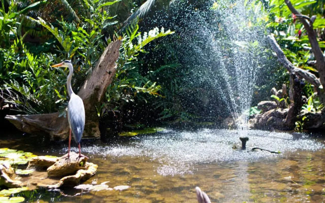 Leopard Beach Resort & Spa