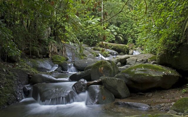 Rios Tropicales