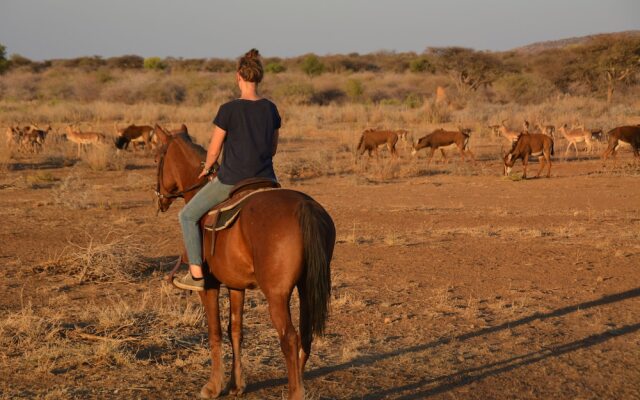 Gabus Game Ranch