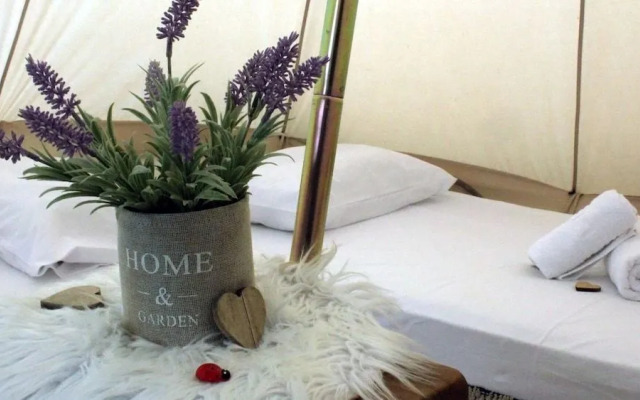 Queens Luxury Glamping