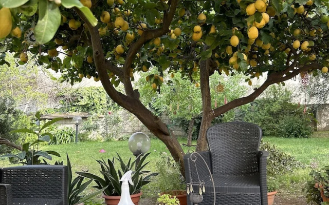 Bed and Breakfast L'Abete