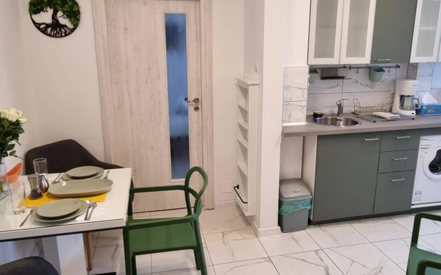 Elisabeta Studio Apartment
