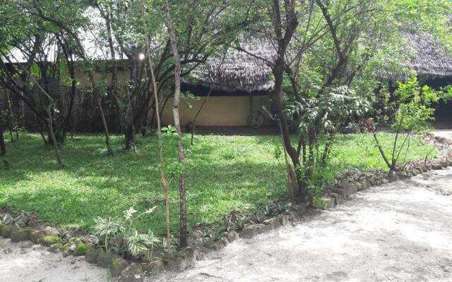 Gecko Nature Lodge & Swahili Divers