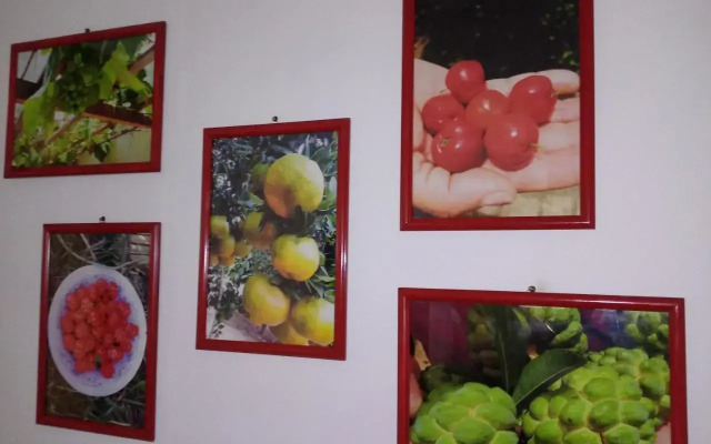 Apart Hotel Paraíso