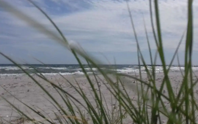 1 in the Maassen Country House