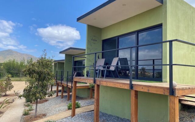 Palta 60 Valle de Guadalupe