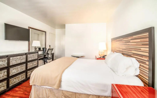 Hollywood Downtowner Inn