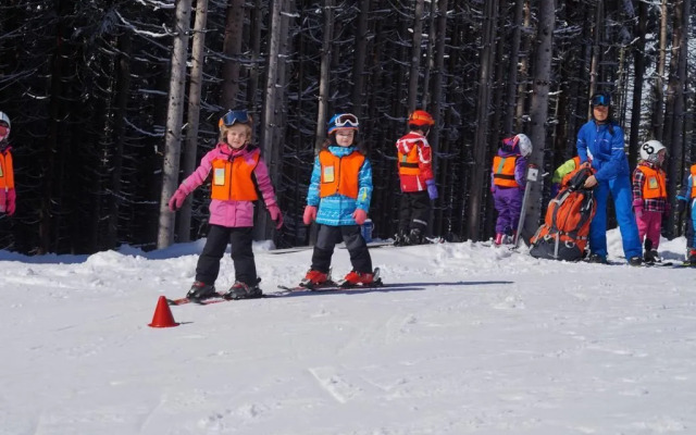 Hotel Wenger Alpenhof