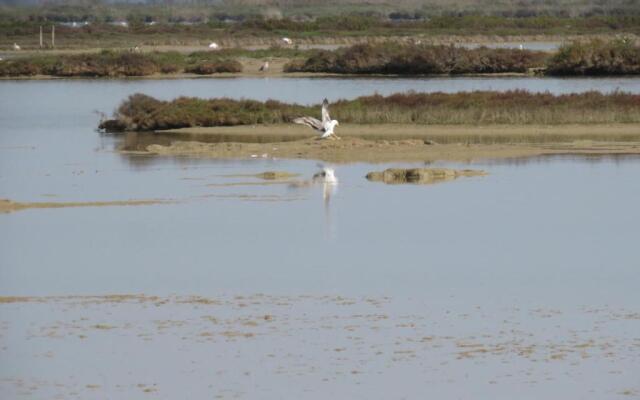 lo flamenc 2 @Amposta