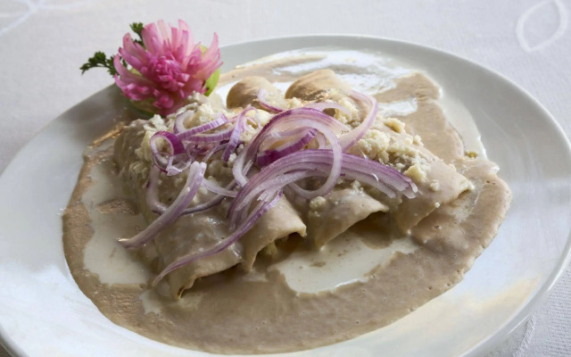 Hotel Villa Tequila