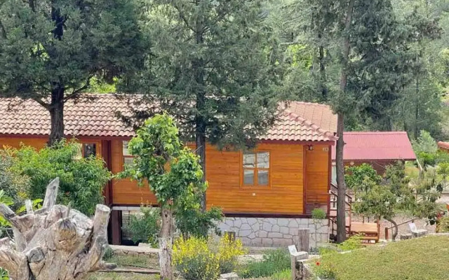 Trinitys Forest Bungalows