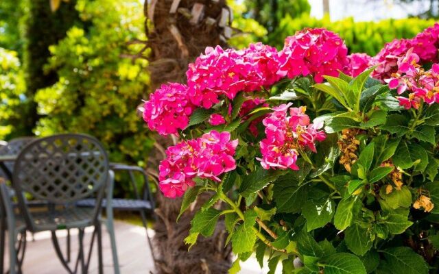 Hotel Villa Laurus
