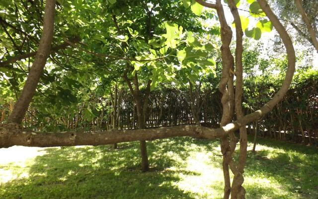 Three Bedroom Apartment With Garden