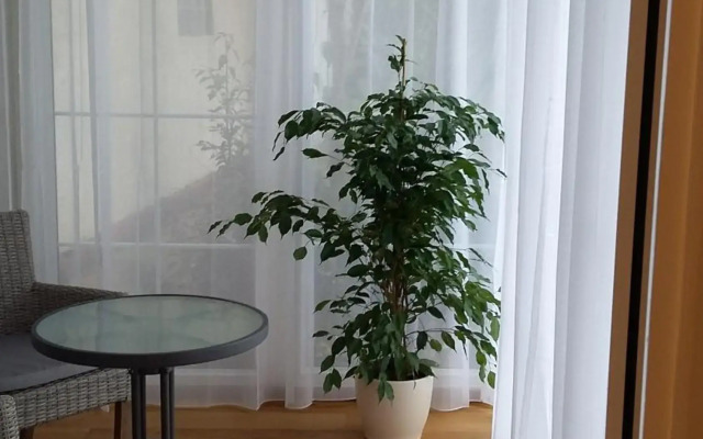 Ferienwohnung Steffen