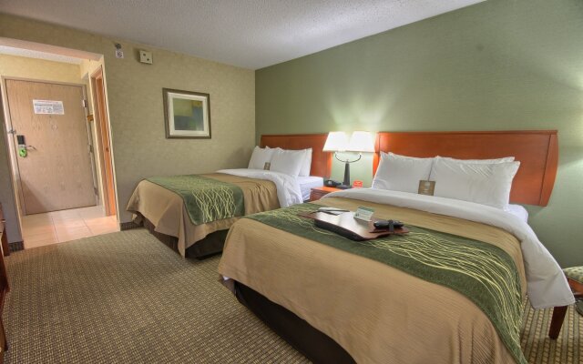 Comfort Inn Near Greenfield Village