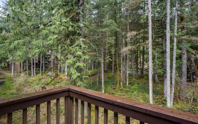 Snowater Condo #38 - A Great Mountain Retreat!