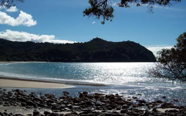 Within the Bays – Beach – Whitianga