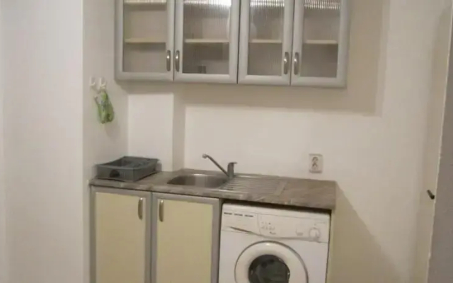 Fennec Fox Apparment