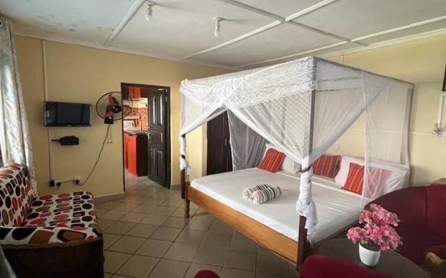 Nice and Cosy Studio En-suite, Kitchenette, Kenya