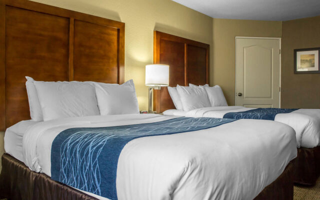 Spark by Hilton Glendale Phoenix North