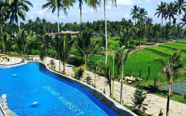 Grand Harvest Banyuwangi